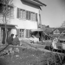Military plane crash nearby a farm 1954
