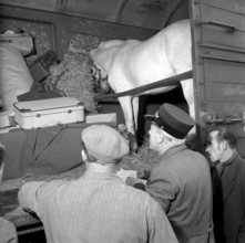 Circus Knie, Customs Check in Schaffhausen 1957