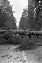 Storm damages in Bulach 1967
