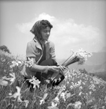 Woman gathering wild narcissus in Vevey, 1942