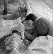 Mammouth skeleton discovery in the Praz-Rodet gravel pit, Le Brassus 1969