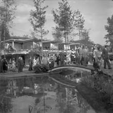 Consular corps visiting lido Tiefenbrunnen, Zurich 1954