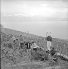 Visit of the Easter bunny in Grandvaux 1958