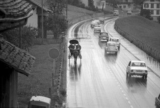 Holiday trip on a horse drawn carriage: 3 young men in the region of Biel, 1970