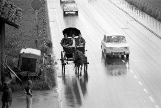 Holiday trip on a horse drawn carriage: 3 young men in the region of Biel, 1970