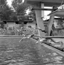 Zurich, gilrs taking a header during swimming lesson in a open air bath 1956