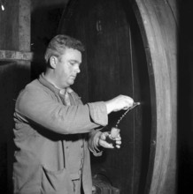 Christmas Eve 1957: Winegrower Claude Ponnanz