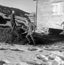 Christmas Eve 1957: Boys on a farm