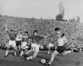 International match Switzerland - Sweden, Berne, 1961