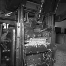 Match production at Terza match factory, Unterterzen, 1952