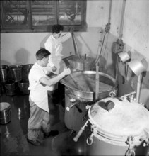 Saxon canning factory 1954