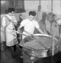 Saxon canning factory 1954