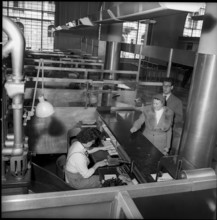 Postal cheque services, client at the Fraumunster post office Zurich, 1956