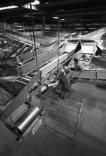 Porcel sorting system assembling, Schanzenpost Berne 1965