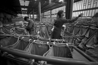 Mail sorting, Schanzenpost Berne 1965