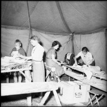 Boy scout camp: print the paper. near Bulle 1954