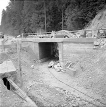 Cycle path under construction 1953