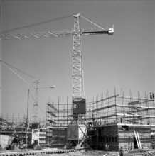 One of the first tower blocks in Zurich 1951