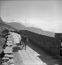 Yvorne 1946: Horse and cart