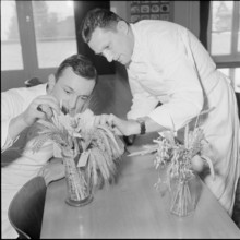 Course for making bread at technical college for baker, Lucerne 1958
