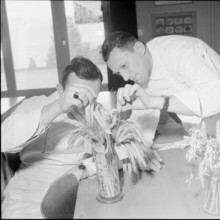 Course for making bread at technical college for baker, Lucerne 1958
