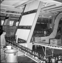 Bottling mashine in the Hurlimann Brewery, Zurich 1959
