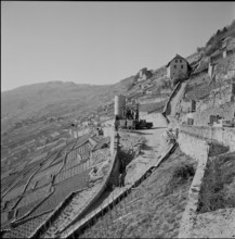 Corniche"" Cully - Chexbres connection road under construction, Lavaux, 1957