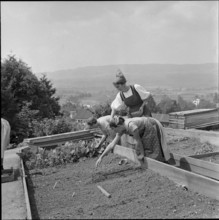 Gardening at school for household, Uster 1956