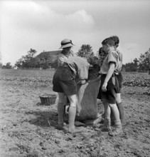 Swiss boy scouts helping in the country 1939