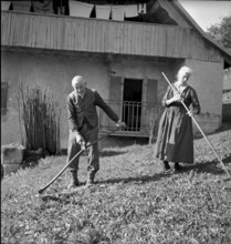 Old couple cutting grass near Romainmotier 1942