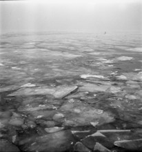 Ice floes on Lake Zurich 1941