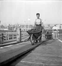 Stoker onboard of the Steamer ""Stadt Zurich"" 1942