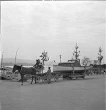 Boat transport by horse-drawn carriage in Zurich 1941