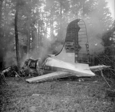 Israelitic freighter crash near Bulach, wreckage 1951