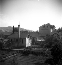Factory building in Zurich 1948: Werdmuhle