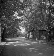 Housing shortage: familes living temporary in barracks, Neuchatel 1947