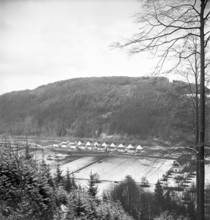 Housing estate ""Gartendorfli"" in Gontenbach, around 1948