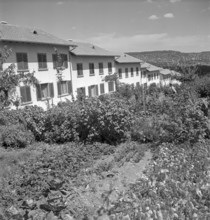 Row house with front garden, housing estate Friesenberg Zurich 1949