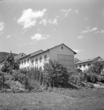 Row house with front garden, housing estate Friesenberg Zurich 1949