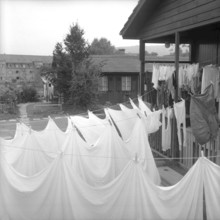 Housing shortage, homeless people living temporary in barracks, Bucheggplatz Zurich 1958