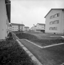 Housing estate Leimgrubel Zurich Seebach 1950