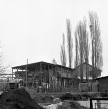 Housing shortage profiteer rents a chicken house as flat for a family, Geneva 1963