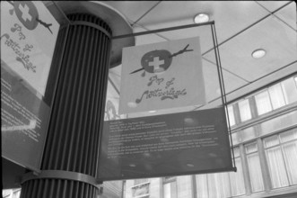 Gypsum cows painted by artist Samuel Buri at Jelmoli's in Zurich 1972