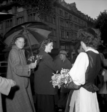 Distribution of Narcissus ba the Montreux tourist office, Zurich 1949