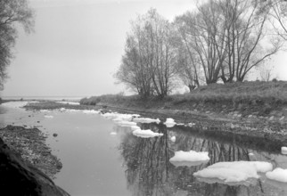 Water pollution near lake Constance 1962