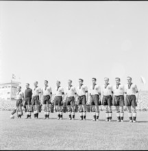Swiss cup 1955/56, cup final: Young Boys - Grasshopper-Club Zurich. The Young Boys Team