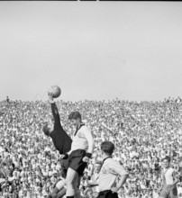 Swiss cup 1955/56, cup final: Young Boys - Grasshopper-Club Zurich