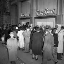 Dyed chicks in the shop window of a fashion shop , Zurich^1951