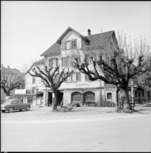 Tree's in front of smithy in Sursee LU 1956