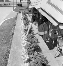 Floral decoration contest in Geneva 1942